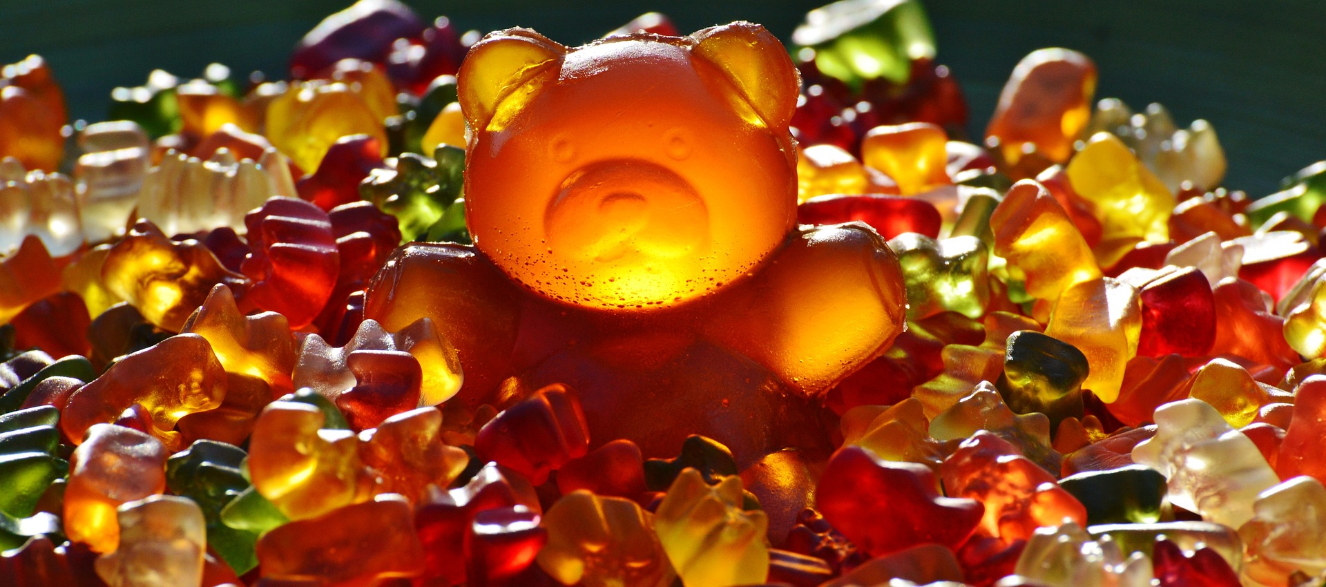 giant-gummy-bear-g93d4747a6_1920